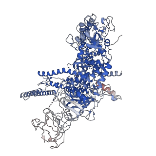 19082_8rec_D_v1-0
Cryo-EM structure of bacterial RNA polymerase-sigma54 initial transcribing complex - 7nt complex