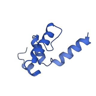 19082_8rec_E_v1-0
Cryo-EM structure of bacterial RNA polymerase-sigma54 initial transcribing complex - 7nt complex