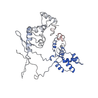 19082_8rec_M_v1-0
Cryo-EM structure of bacterial RNA polymerase-sigma54 initial transcribing complex - 7nt complex