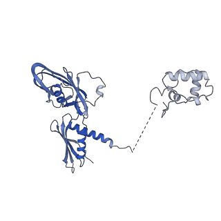 19083_8red_A_v1-0
Cryo-EM structure of bacterial RNA polymerase-sigma54 initial transcribing complex - 8nt complex