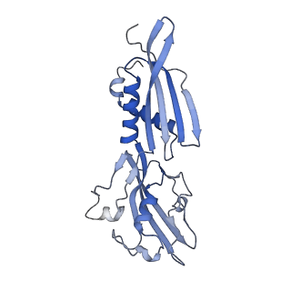 19083_8red_B_v1-0
Cryo-EM structure of bacterial RNA polymerase-sigma54 initial transcribing complex - 8nt complex