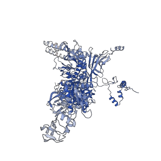19083_8red_C_v1-0
Cryo-EM structure of bacterial RNA polymerase-sigma54 initial transcribing complex - 8nt complex
