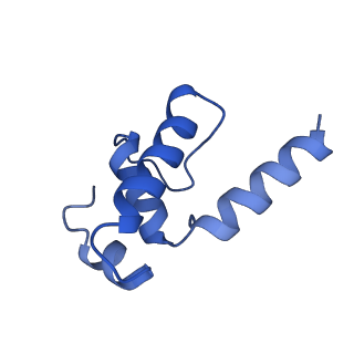 19083_8red_E_v1-0
Cryo-EM structure of bacterial RNA polymerase-sigma54 initial transcribing complex - 8nt complex