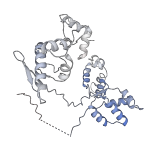 19083_8red_M_v1-0
Cryo-EM structure of bacterial RNA polymerase-sigma54 initial transcribing complex - 8nt complex