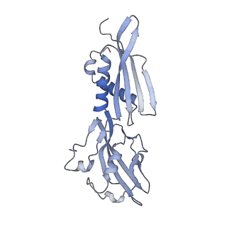 19084_8ree_B_v1-0
Cryo-EM structure of bacterial RNA polymerase-sigma54 initial transcribing complex - 9nt complex