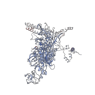 19084_8ree_C_v1-0
Cryo-EM structure of bacterial RNA polymerase-sigma54 initial transcribing complex - 9nt complex