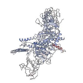 19084_8ree_D_v1-0
Cryo-EM structure of bacterial RNA polymerase-sigma54 initial transcribing complex - 9nt complex