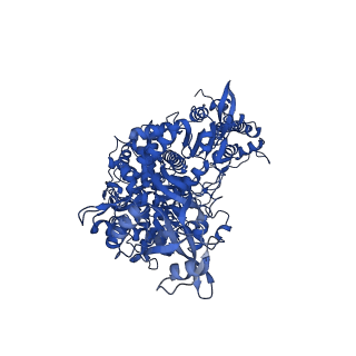 24429_7re0_A_v1-2
SARS-CoV-2 replication-transcription complex bound to nsp13 helicase - nsp13(2)-RTC - swiveled class