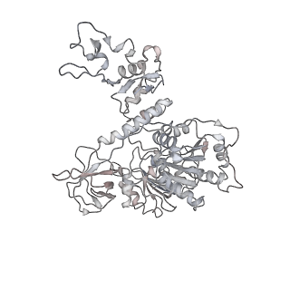 24429_7re0_E_v1-2
SARS-CoV-2 replication-transcription complex bound to nsp13 helicase - nsp13(2)-RTC - swiveled class