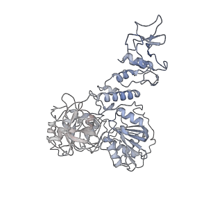 24429_7re0_F_v1-2
SARS-CoV-2 replication-transcription complex bound to nsp13 helicase - nsp13(2)-RTC - swiveled class