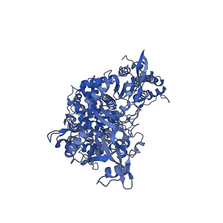 24430_7re1_A_v1-2
SARS-CoV-2 replication-transcription complex bound to nsp13 helicase - nsp13(2)-RTC (composite)