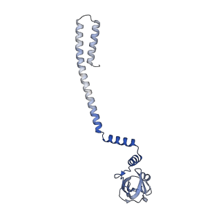 24430_7re1_D_v1-2
SARS-CoV-2 replication-transcription complex bound to nsp13 helicase - nsp13(2)-RTC (composite)
