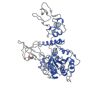 24430_7re1_E_v1-2
SARS-CoV-2 replication-transcription complex bound to nsp13 helicase - nsp13(2)-RTC (composite)