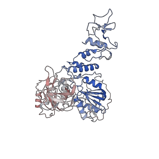 24430_7re1_F_v1-2
SARS-CoV-2 replication-transcription complex bound to nsp13 helicase - nsp13(2)-RTC (composite)