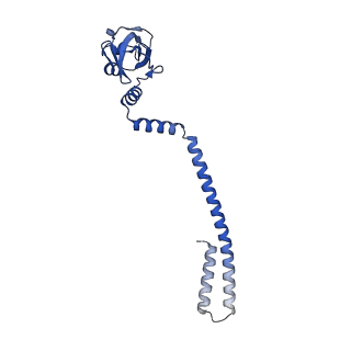 24431_7re2_D_v1-2
SARS-CoV-2 replication-transcription complex bound to nsp13 helicase - nsp13(1)-RTC
