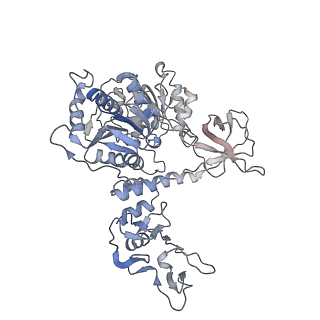 24431_7re2_E_v1-2
SARS-CoV-2 replication-transcription complex bound to nsp13 helicase - nsp13(1)-RTC