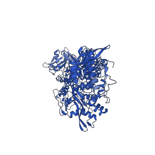 24432_7re3_A_v1-3
SARS-CoV-2 replication-transcription complex bound to nsp13 helicase - nsp13(2)-RTC dimer