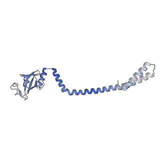 24432_7re3_D_v1-3
SARS-CoV-2 replication-transcription complex bound to nsp13 helicase - nsp13(2)-RTC dimer