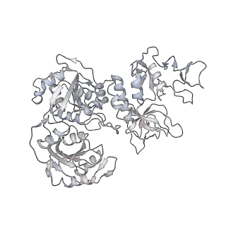 24432_7re3_E_v1-3
SARS-CoV-2 replication-transcription complex bound to nsp13 helicase - nsp13(2)-RTC dimer