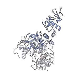 24432_7re3_F_v1-3
SARS-CoV-2 replication-transcription complex bound to nsp13 helicase - nsp13(2)-RTC dimer