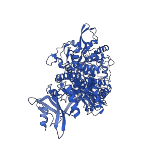 24432_7re3_G_v1-3
SARS-CoV-2 replication-transcription complex bound to nsp13 helicase - nsp13(2)-RTC dimer