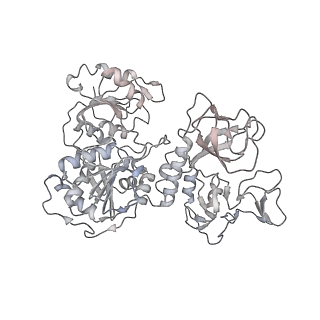 24432_7re3_K_v1-3
SARS-CoV-2 replication-transcription complex bound to nsp13 helicase - nsp13(2)-RTC dimer
