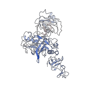 24432_7re3_L_v1-3
SARS-CoV-2 replication-transcription complex bound to nsp13 helicase - nsp13(2)-RTC dimer