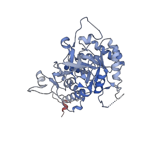 24437_7rer_F_v1-2
HUMAN IMPDH1 TREATED WITH ATP, IMP, AND NAD+