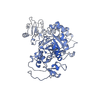 24438_7res_B_v1-2
HUMAN IMPDH1 TREATED WITH ATP, IMP, AND NAD+, OCTAMER-CENTERED