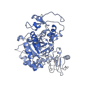 24438_7res_D_v1-2
HUMAN IMPDH1 TREATED WITH ATP, IMP, AND NAD+, OCTAMER-CENTERED