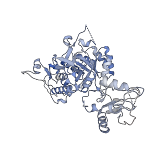 24438_7res_E_v1-2
HUMAN IMPDH1 TREATED WITH ATP, IMP, AND NAD+, OCTAMER-CENTERED