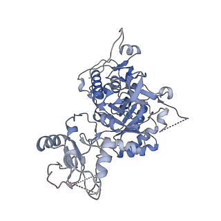 24438_7res_F_v1-2
HUMAN IMPDH1 TREATED WITH ATP, IMP, AND NAD+, OCTAMER-CENTERED