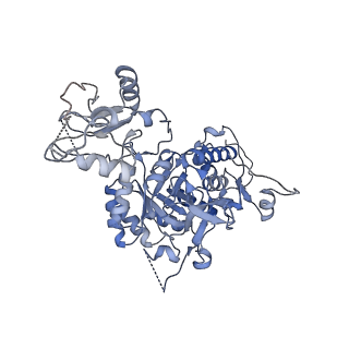24438_7res_G_v1-2
HUMAN IMPDH1 TREATED WITH ATP, IMP, AND NAD+, OCTAMER-CENTERED