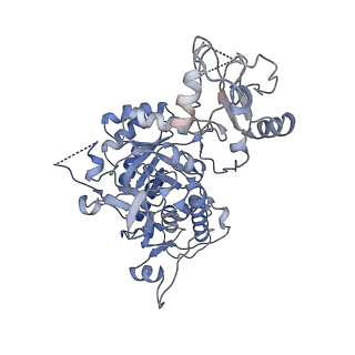 24438_7res_H_v1-2
HUMAN IMPDH1 TREATED WITH ATP, IMP, AND NAD+, OCTAMER-CENTERED