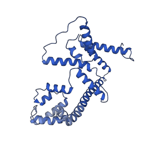 4837_6re0_4_v1-3
Cryo-EM structure of Polytomella F-ATP synthase, Rotary substate 2A, monomer-masked refinement