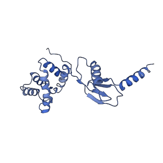 4837_6re0_P_v1-3
Cryo-EM structure of Polytomella F-ATP synthase, Rotary substate 2A, monomer-masked refinement
