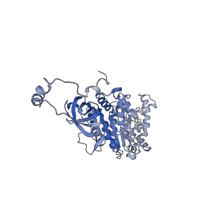 4837_6re0_U_v1-3
Cryo-EM structure of Polytomella F-ATP synthase, Rotary substate 2A, monomer-masked refinement