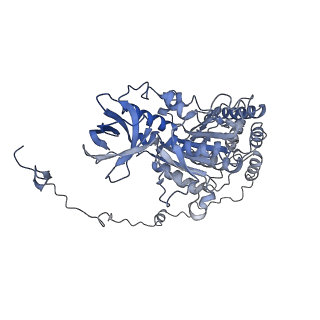 4837_6re0_X_v1-3
Cryo-EM structure of Polytomella F-ATP synthase, Rotary substate 2A, monomer-masked refinement