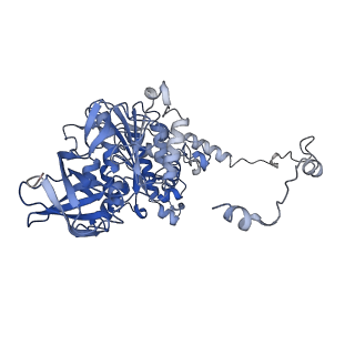 4837_6re0_Y_v1-3
Cryo-EM structure of Polytomella F-ATP synthase, Rotary substate 2A, monomer-masked refinement