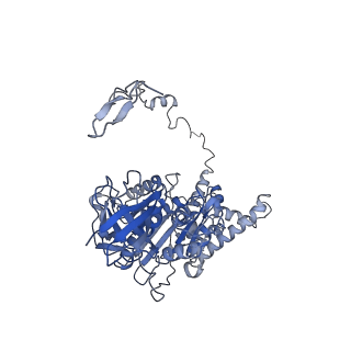 4837_6re0_Z_v1-3
Cryo-EM structure of Polytomella F-ATP synthase, Rotary substate 2A, monomer-masked refinement
