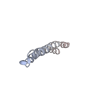 4838_6re1_E_v1-2
Cryo-EM structure of Polytomella F-ATP synthase, Rotary substate 2A, focussed refinement of F1 head and rotor