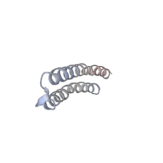 4838_6re1_F_v1-2
Cryo-EM structure of Polytomella F-ATP synthase, Rotary substate 2A, focussed refinement of F1 head and rotor