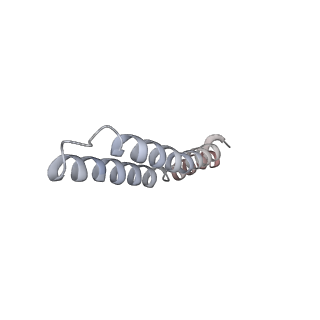 4838_6re1_J_v1-2
Cryo-EM structure of Polytomella F-ATP synthase, Rotary substate 2A, focussed refinement of F1 head and rotor