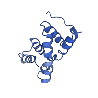 4838_6re1_P_v1-2
Cryo-EM structure of Polytomella F-ATP synthase, Rotary substate 2A, focussed refinement of F1 head and rotor