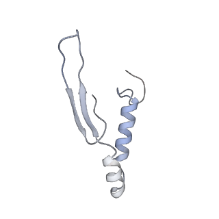 4838_6re1_Q_v1-2
Cryo-EM structure of Polytomella F-ATP synthase, Rotary substate 2A, focussed refinement of F1 head and rotor