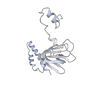 4838_6re1_R_v1-2
Cryo-EM structure of Polytomella F-ATP synthase, Rotary substate 2A, focussed refinement of F1 head and rotor