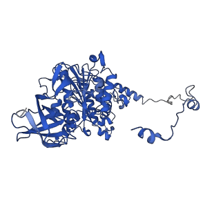 4838_6re1_Y_v1-2
Cryo-EM structure of Polytomella F-ATP synthase, Rotary substate 2A, focussed refinement of F1 head and rotor