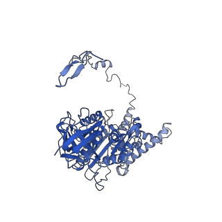 4838_6re1_Z_v1-2
Cryo-EM structure of Polytomella F-ATP synthase, Rotary substate 2A, focussed refinement of F1 head and rotor