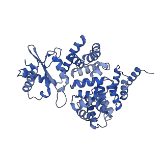 4839_6re2_2_v1-2
Cryo-EM structure of Polytomella F-ATP synthase, Rotary substate 2B, composite map