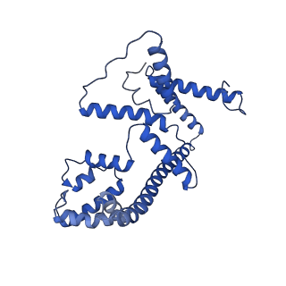 4839_6re2_4_v1-2
Cryo-EM structure of Polytomella F-ATP synthase, Rotary substate 2B, composite map